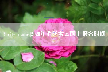 偃师2020年消防考试网上报名时间