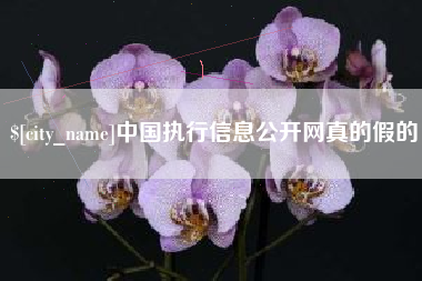 偃师中国执行信息公开网真的假的