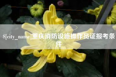 偃师重庆消防设施操作员证报考条件
