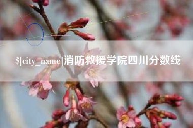 偃师消防救援学院四川分数线