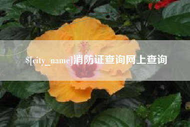 偃师消防证查询网上查询