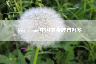 偃师中国的金牌有好多