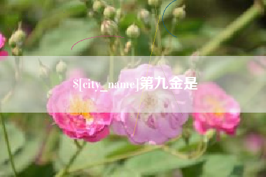 偃师第九金是