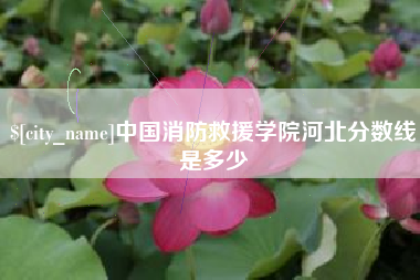 偃师中国消防救援学院河北分数线是多少