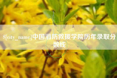 偃师中国消防救援学院历年录取分数线