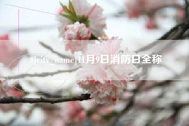 偃师11月9日消防日全称