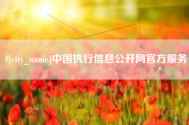 偃师中国执行信息公开网官方服务