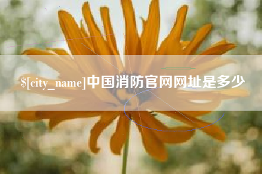 偃师中国消防官网网址是多少
