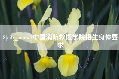 偃师中国消防救援学院招生身体要求