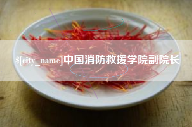 偃师中国消防救援学院副院长