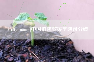 偃师中国消防救援学院录分线