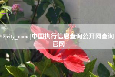 偃师中国执行信息查询公开网查询官网