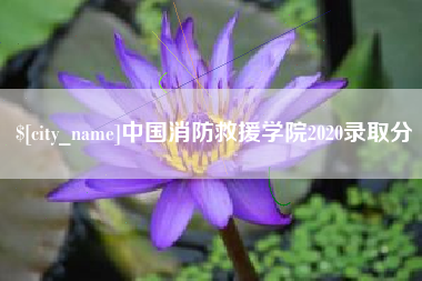 偃师中国消防救援学院2020录取分