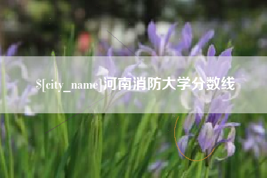偃师河南消防大学分数线
