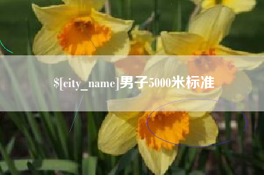 偃师男子5000米标准