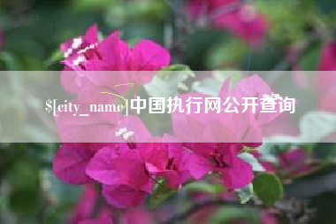 偃师中国执行网公开查询