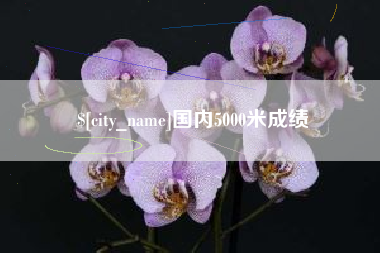 偃师国内5000米成绩