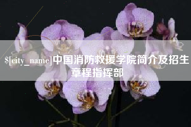 偃师中国消防救援学院简介及招生章程指挥部