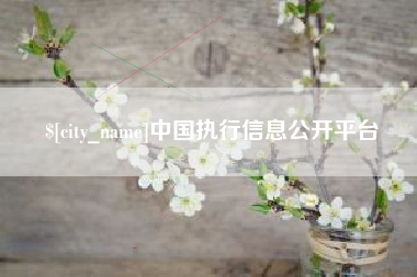 偃师中国执行信息公开平台