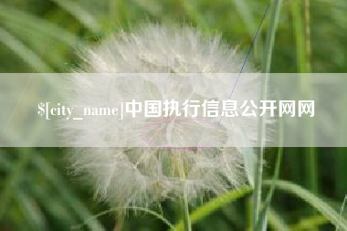 偃师中国执行信息公开网网
