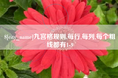 偃师九宫格规则,每行,每列,每个粗线都有1-9