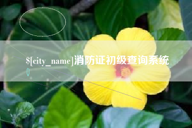 偃师消防证初级查询系统