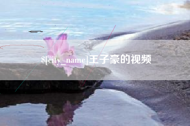 偃师王子豪的视频