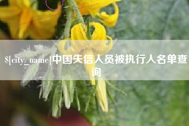 偃师中国失信人员被执行人名单查询