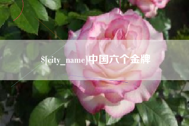 偃师中国六个金牌