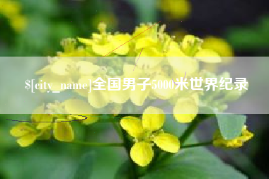偃师全国男子5000米世界纪录