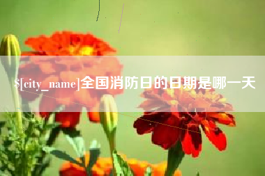 偃师全国消防日的日期是哪一天