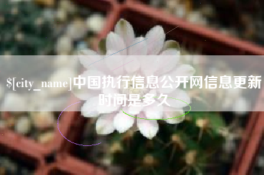 偃师中国执行信息公开网信息更新时间是多久