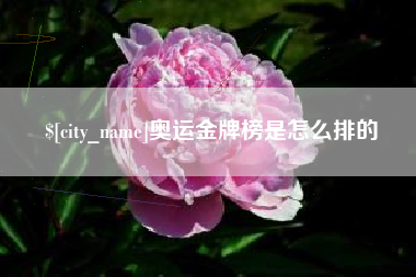 偃师奥运金牌榜是怎么排的