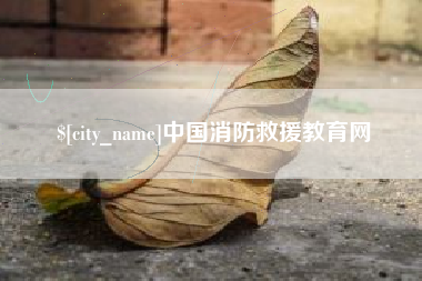 偃师中国消防救援教育网