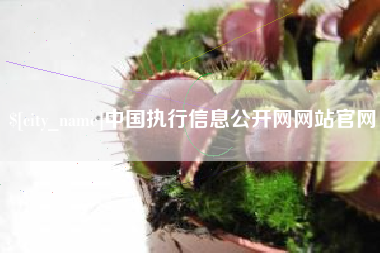 偃师中国执行信息公开网网站官网