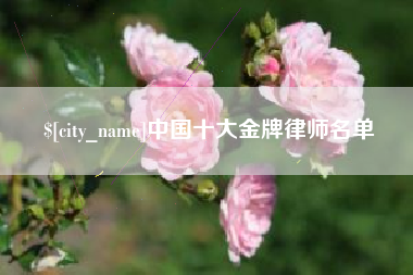 偃师中国十大金牌律师名单