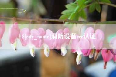 偃师消防设备ccc认证