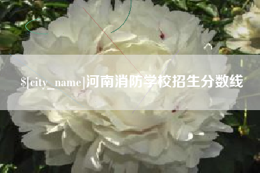 偃师河南消防学校招生分数线