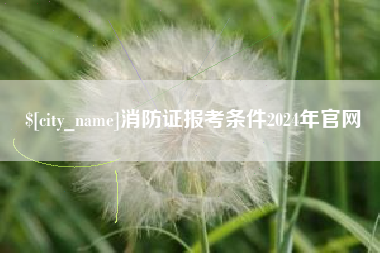 偃师消防证报考条件2024年官网