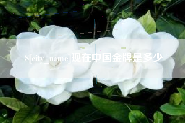 偃师现在中国金牌是多少