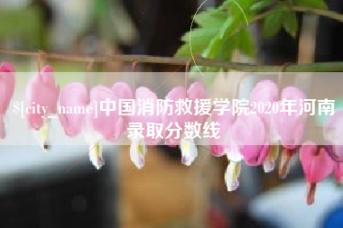偃师中国消防救援学院2020年河南录取分数线