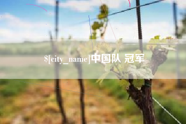 偃师中国队 冠军