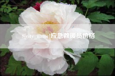 偃师应急救援员价格