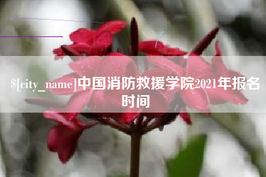偃师中国消防救援学院2021年报名时间