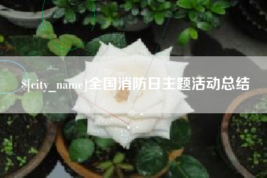 偃师全国消防日主题活动总结