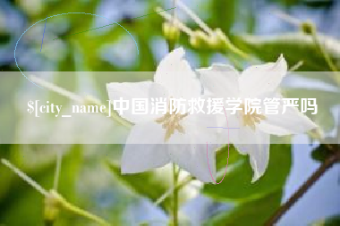 偃师中国消防救援学院管严吗