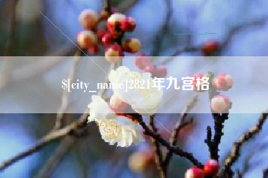 偃师2821年九宫格