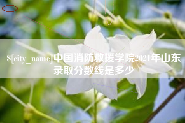 偃师中国消防救援学院2021年山东录取分数线是多少