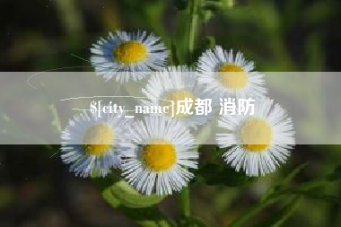 偃师成都 消防