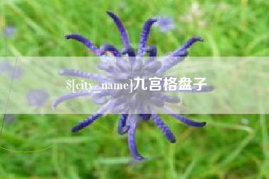偃师九宫格盘子